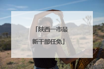 陕西一市最新干部任免