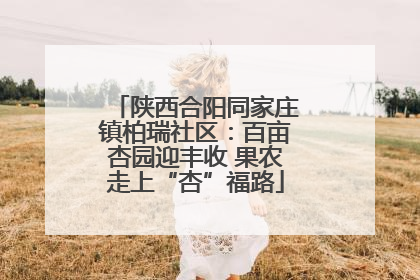 陕西合阳同家庄镇柏瑞社区：百亩杏园迎丰收 果农走上“杏”福路