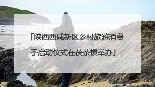 陕西西咸新区乡村旅游消费季启动仪式在茯茶镇举办