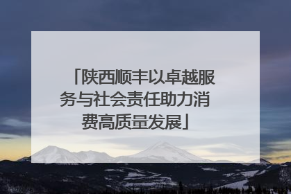 陕西顺丰以卓越服务与社会责任助力消费高质量发展