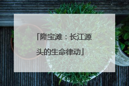 隆宝滩：长江源头的生命律动