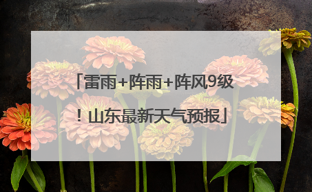雷雨+阵雨+阵风9级！山东最新天气预报