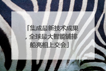 集成最新技术成果，全球最大智能铺排船亮相上交会