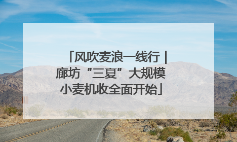 风吹麦浪一线行｜廊坊“三夏”大规模小麦机收全面开始