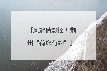 风起倩影摇！荆州“荷您有约”