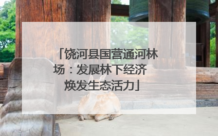 饶河县国营通河林场：发展林下经济 焕发生态活力