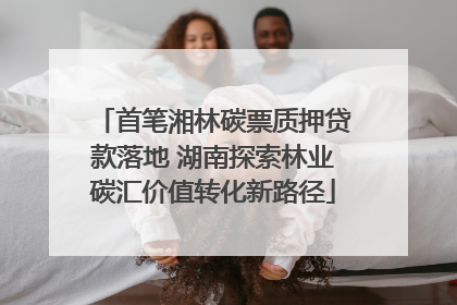 首笔湘林碳票质押贷款落地 湖南探索林业碳汇价值转化新路径