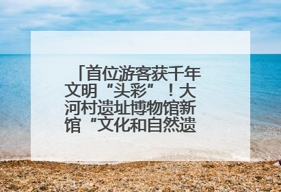 首位游客获千年文明“头彩”！大河村遗址博物馆新馆“文化和自然遗产日”璀璨启幕
