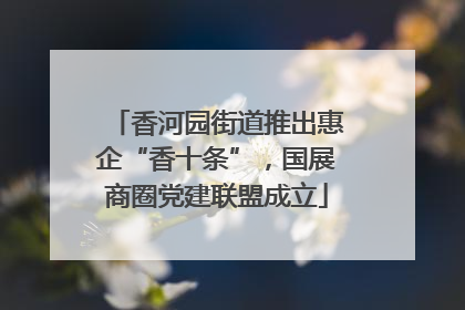 香河园街道推出惠企“香十条”，国展商圈党建联盟成立