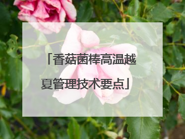 香菇菌棒高温越夏管理技术要点