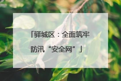 驿城区：全面筑牢防汛“安全网”