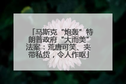 马斯克“炮轰”特朗普政府“大而美”法案：荒唐可笑、夹带私货，令人作呕
