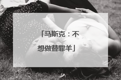 马斯克：不想做替罪羊