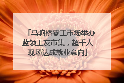 马驹桥零工市场举办蓝领工友市集，超千人现场达成就业意向