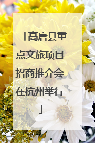 高唐县重点文旅项目招商推介会在杭州举行