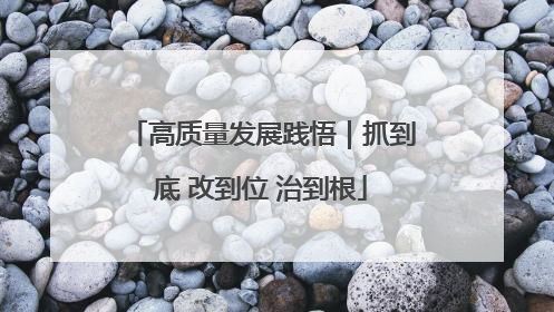 高质量发展践悟｜抓到底 改到位 治到根