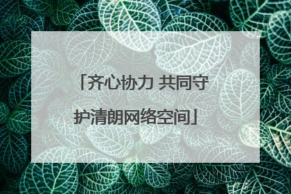 齐心协力 共同守护清朗网络空间