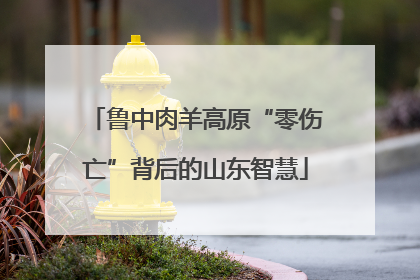 鲁中肉羊高原“零伤亡”背后的山东智慧