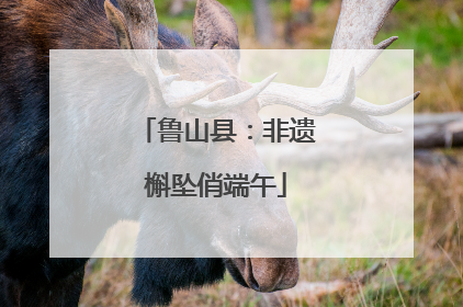 鲁山县：非遗槲坠俏端午