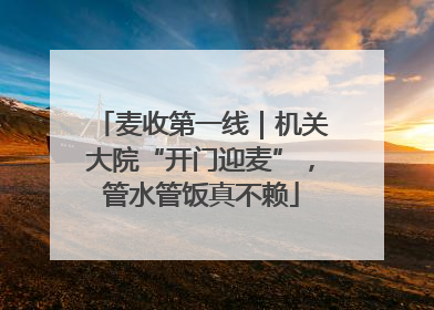 麦收第一线｜机关大院“开门迎麦”，管水管饭真不赖
