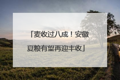 麦收过八成！安徽夏粮有望再迎丰收