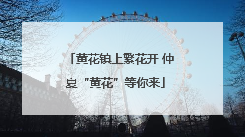 黄花镇上繁花开 仲夏“黄花”等你来
