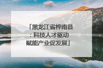 黑龙江省桦南县：科技人才驱动 赋能产业促发展