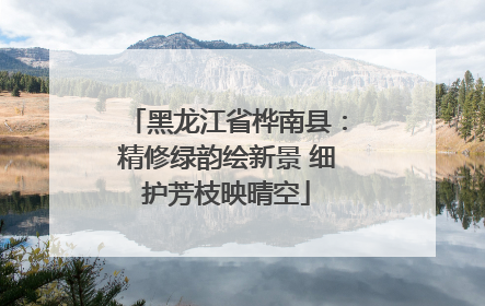 黑龙江省桦南县：精修绿韵绘新景 细护芳枝映晴空