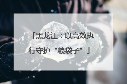 黑龙江：以高效执行守护“粮袋子”