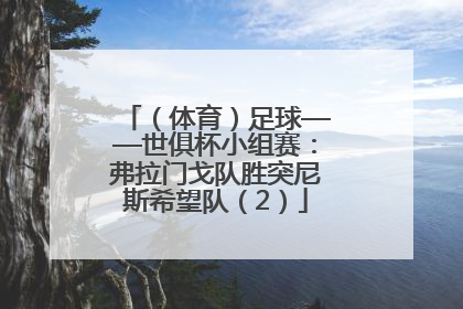 （体育）足球——世俱杯小组赛：弗拉门戈队胜突尼斯希望队（2）