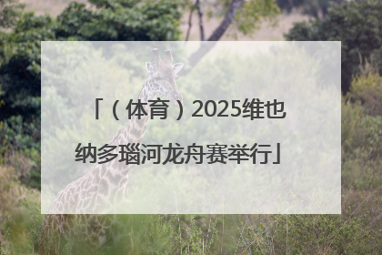 （体育）2025维也纳多瑙河龙舟赛举行