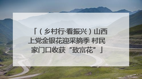 （乡村行·看振兴）山西上党金银花迎采摘季 村民家门口收获“致富花”