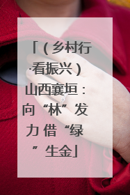 （乡村行·看振兴）山西襄垣：向“林”发力 借“绿”生金