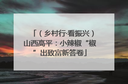 （乡村行·看振兴）山西高平：小辣椒“椒”出致富新答卷