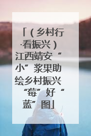 （乡村行·看振兴）江西靖安“小”浆果助绘乡村振兴“莓”好“蓝”图