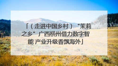 （走进中国乡村）“茉莉之乡”广西横州借力数字智能 产业升级香飘海外
