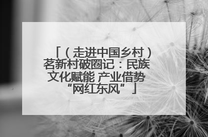 （走进中国乡村）茗新村破圈记：民族文化赋能 产业借势 “网红东风”