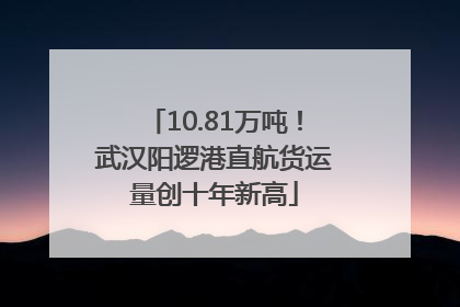 10.81万吨！武汉阳逻港直航货运量创十年新高