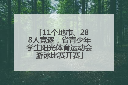 11个地市、288人竞逐，省青少年学生阳光体育运动会游泳比赛开赛