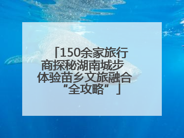 150余家旅行商探秘湖南城步 体验苗乡文旅融合“全攻略”