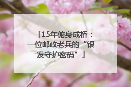 15年俯身成桥：一位邮政老兵的“银发守护密码”