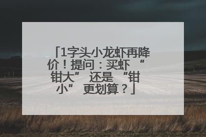 1字头小龙虾再降价！提问：买虾 “钳大” 还是 “钳小” 更划算？