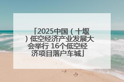 2025中国（十堰）低空经济产业发展大会举行 16个低空经济项目落户车城