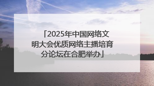 2025年中国网络文明大会优质网络主播培育分论坛在合肥举办