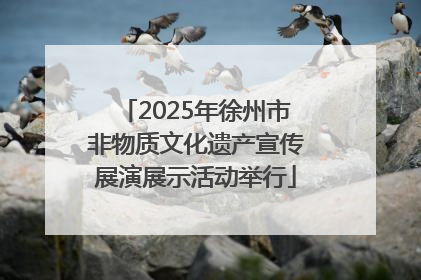 2025年徐州市非物质文化遗产宣传展演展示活动举行