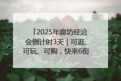 2025年廊坊经洽会倒计时3天｜可逛、可玩、可购，快来6街16巷逛市集