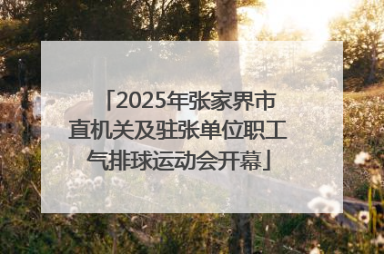2025年张家界市直机关及驻张单位职工气排球运动会开幕
