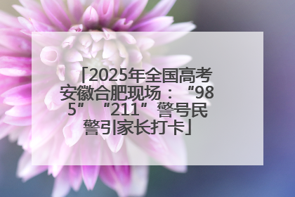 2025年全国高考安徽合肥现场：“985”“211”警号民警引家长打卡