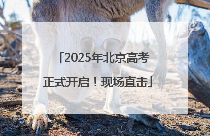 2025年北京高考正式开启！现场直击