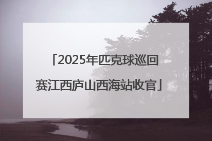 2025年匹克球巡回赛江西庐山西海站收官